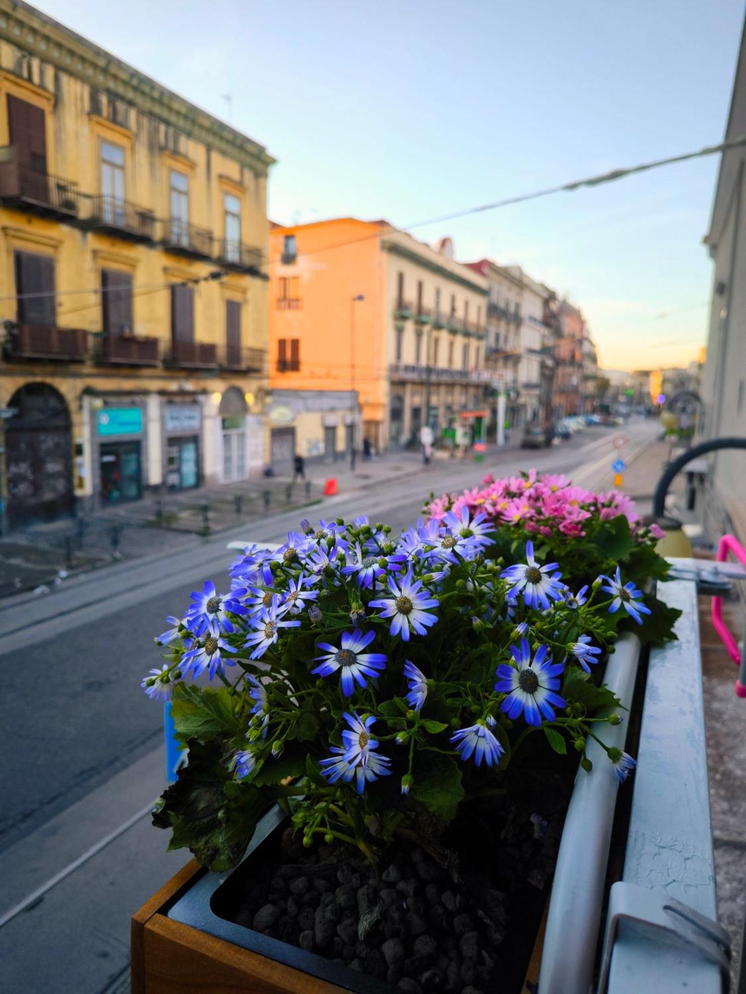 Casamira B&B Napoli Centrale Exterior photo